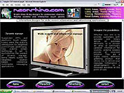 Website example - new media
